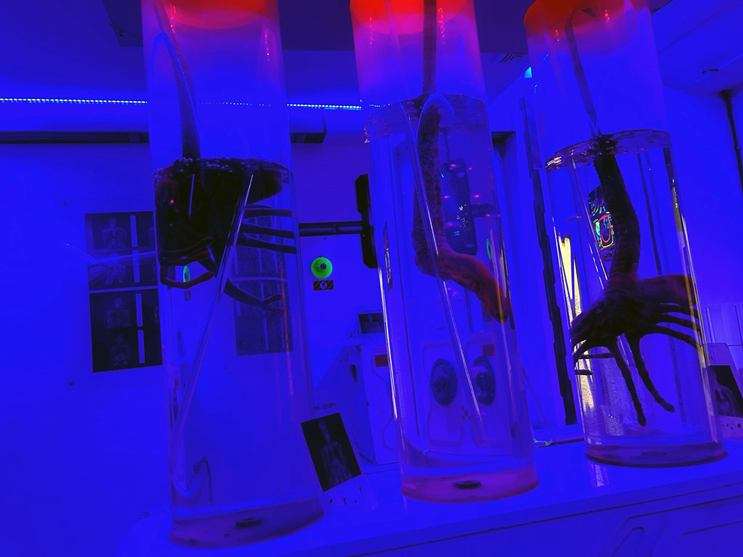 Svešie. Laboratorija. foto 6